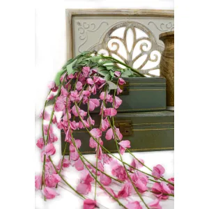 Pink Hanging Wisteria 4ft 1