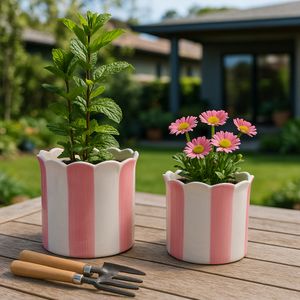 RAFESHAW SET OF 2 PINK PLANTER 7 (IN) 2