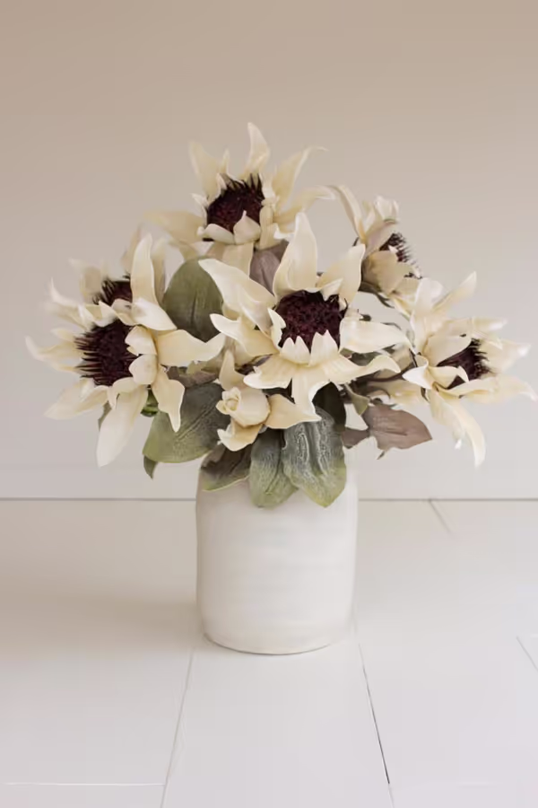 Botanica #2797