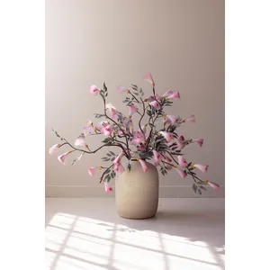 Botanica #3524 1
