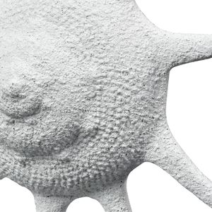 Marco Shell - Textured White 5