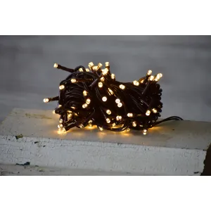20 Bulb LED String Lights 5ft Brown Cord - Steady On 3