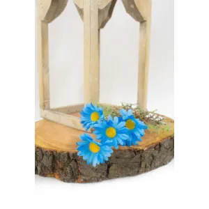 Blue Daisy Pick 16in 1