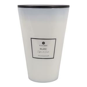 GRANTOAK BLANC SAFFRON & SUEDE CANDLE 12 (IN) 3