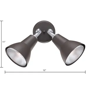 Daley 11'' High 2-Light Outdoor Sconce - Black 2