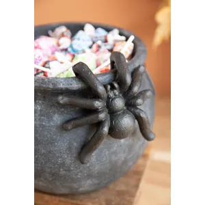Black Terracotta Halloween Candy Cauldron with Spider 2