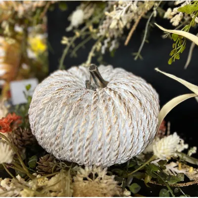 White Flat Resin Rope  Pumpkin 7in