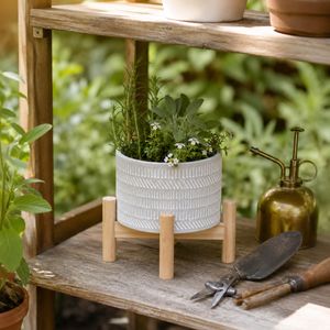 MIABROOK IVORY PLANTER 6 (IN) 2