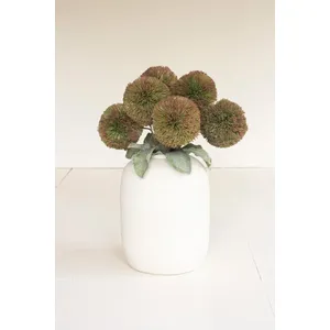 Botanica #3620 2