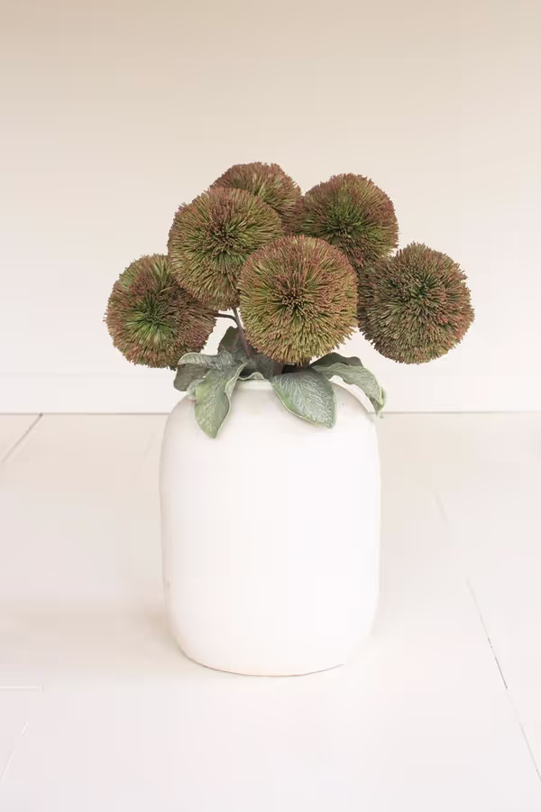 Botanica #3620
