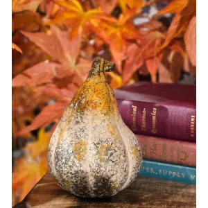 Cider Pear Pumpkin 4x4x5in 2