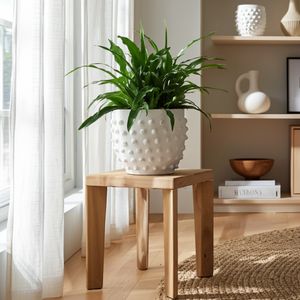 JUNELAKE WHITE PLANTER 6 (IN) 12