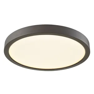 Titan 10'' Wide 1-Light Down Light - Oil Rubbed Bronze 1