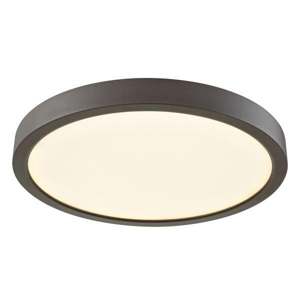 Titan 10'' Wide 1-Light Down Light - Oil Rubbed Bronze