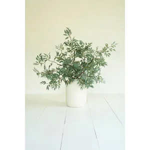 Botanica #3436 1
