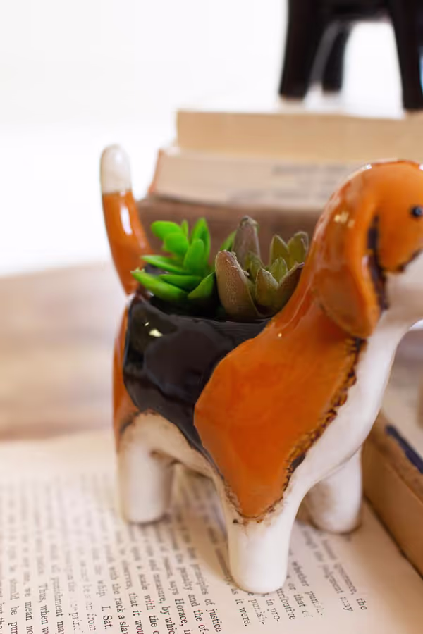 Set of 5 Ceramic Dog Planters