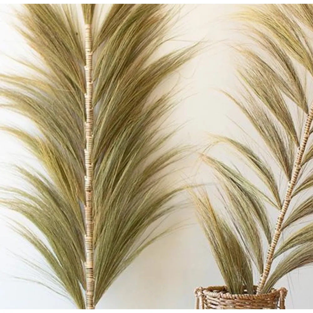 Dried Botanicals