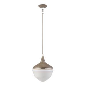 Mid-Century Schoolhouse 12'' Wide 1-Light Mini Pendant - Pecan 2