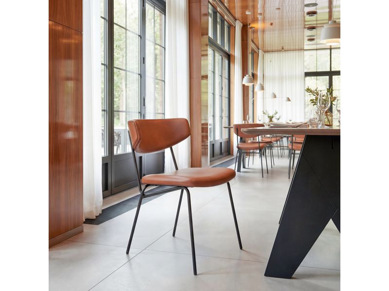 Charon Dining Chair Vintage Brown 9