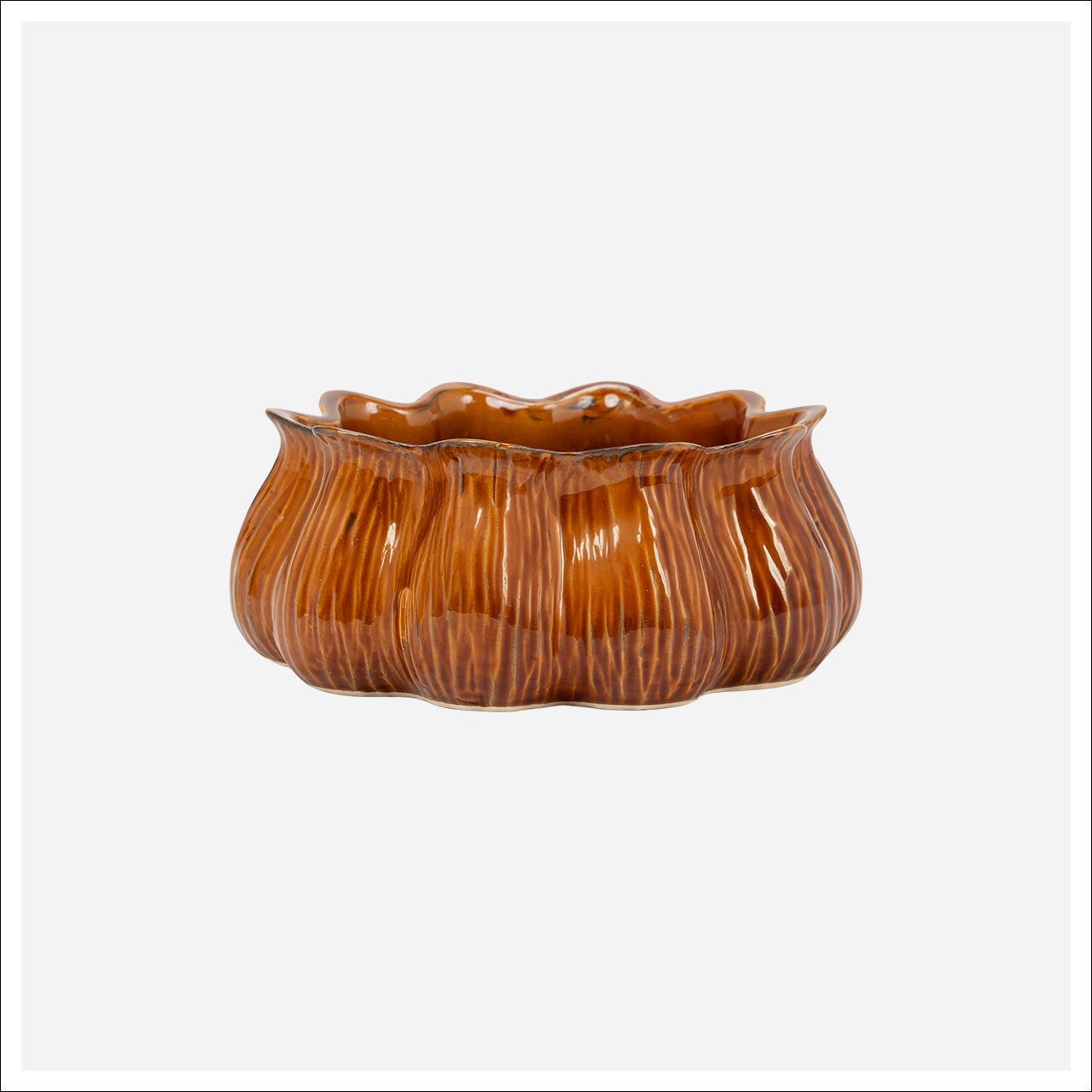 Rodney Planter