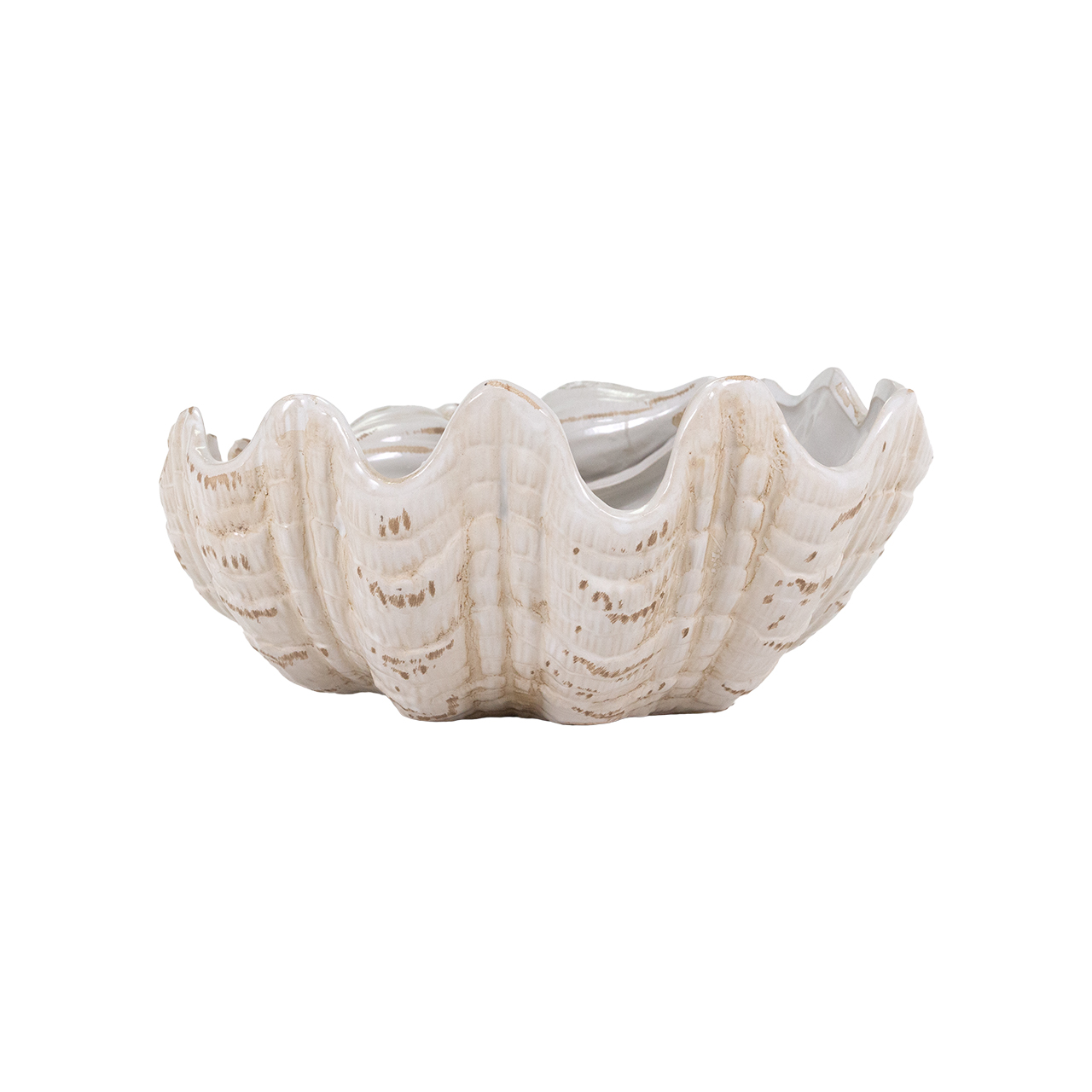 Giant Clamshell Bowl 5