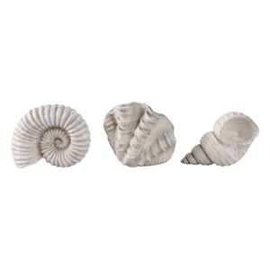 ETHANWICK SET OF 3 IVORY DECOR 5 (IN) 6