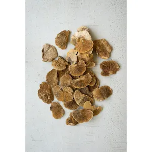 Bag of 48 Dried Sponge Mushrooms 1