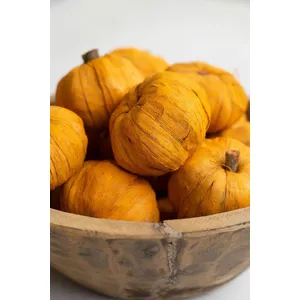 Bag of 15 Dried Miniature Faux Pumpkins - Orange 2