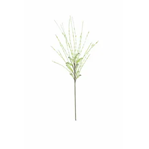 Botanica #3366 4