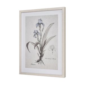 Stems I Framed Wall Art - Cream 2