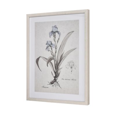 Stems I Framed Wall Art - Cream