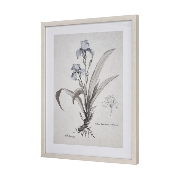 Stems I Framed Wall Art - Cream