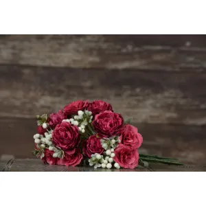 Rose berry bush Pick 12in 1