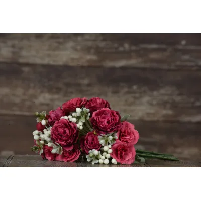 Rose berry bush Pick 12in