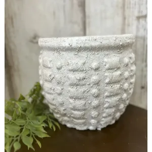Textured Pot 6x5in 1