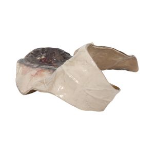 WINTONWIND IVORY METAL 6 (IN) 5