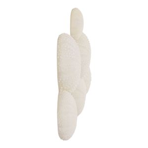 TODDMILL SET OF 3 WHITE WALL SCULPTURES 13 (IN) 4