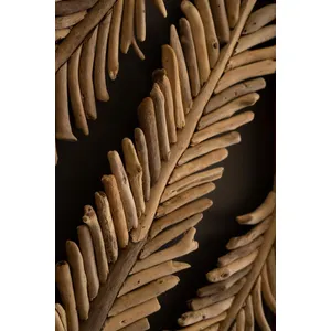 Set of 2 Framed Driftwood Leaves 6