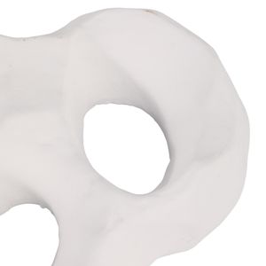 FALLONLEY SET OF 3 WHITE WALL SCULPTURES 14 (IN) 5