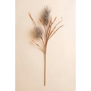 Botanica #2887 3