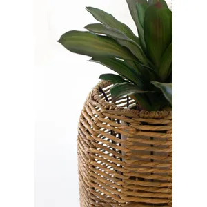 Set of 2 Woven Seagrass Barrel Planters 2