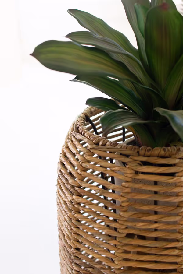 Set of 2 Woven Seagrass Barrel Planters