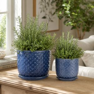 FIONAOAK SET OF 2 PLANTER 7 (IN) 2