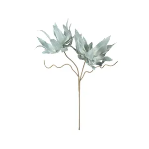 Botanica #2547 4