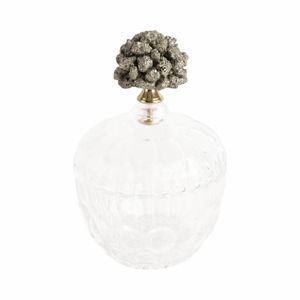 REXROSE CLEAR JAR 8 (IN) 1