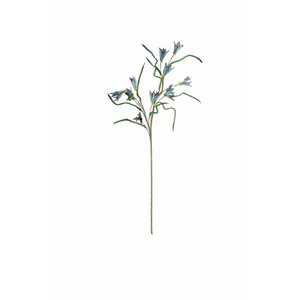 Botanica #3384 3