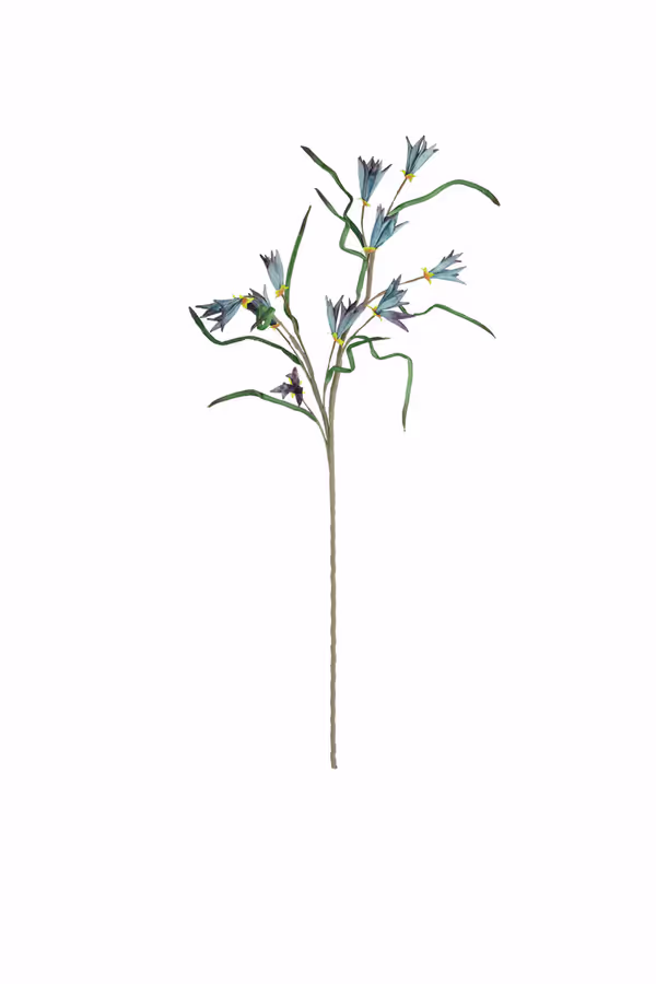 Botanica #3384