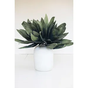 Botanica #294 2