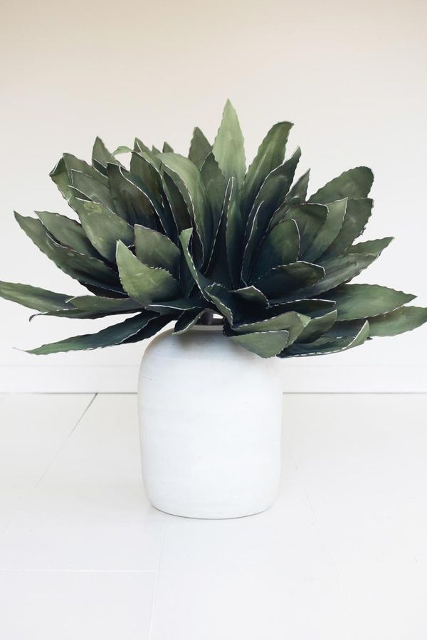 Botanica #294