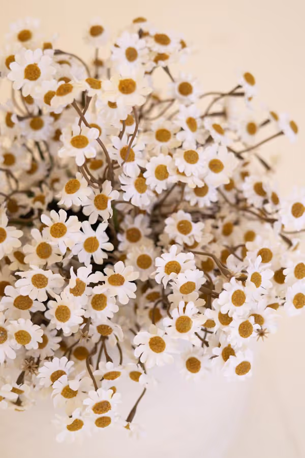 Faux Chamomile Bundle / White